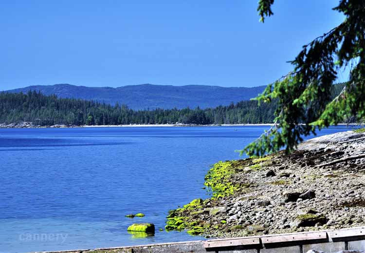 rocky bay scene